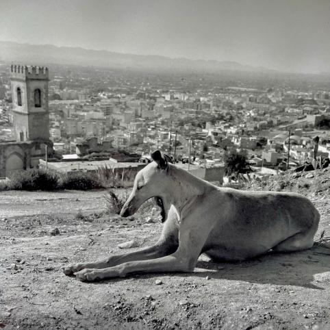 © Daniel Baudraz, Errance, 1994