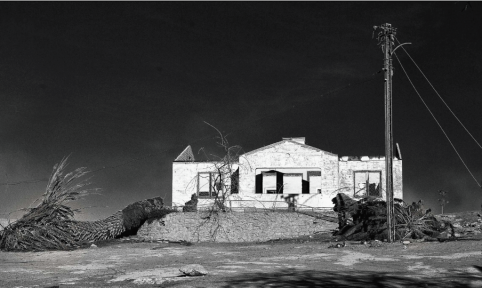 ©Jean-Marie Dreujou Les arbres d'Atacama 2012 © Jean-Marie Dreujou