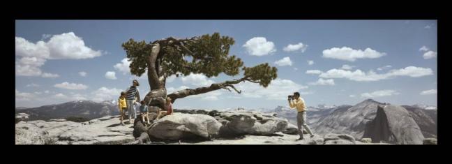 Peter Gales,  Parc National de Yosemite Date d’affichage dans Grand Central : 26 août 1968