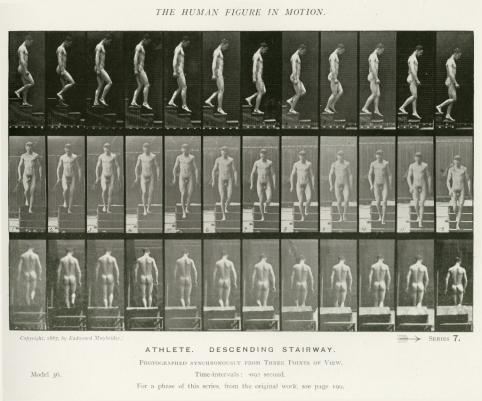 Eadweard Muybridge Chapman and Hall London The human figure in motion : an electro-photographic investigation of consecutive phases of muscular actions 1919 SimiligravureLe britannique Eadweard Muybridge (183O-19O4) inspiré par les travaux d’Étienne-Jules Marey(chronophotographie), invente en 1878 un dispositif photographique de décomposition des mouvements, composé d’une douzaine d’appareils à déclenchements successifs. Ces nouvelles représentations font l’objet de deux livres, Animal locomotion, et The human figure in motion. Muybridge, comme Marey, font figure de précurseurs du cinéma.