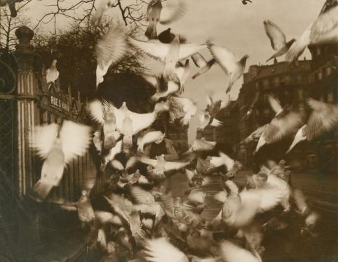 Marius, Paris Photomontage  Vers 1865 Tirage albuminé © collection privée