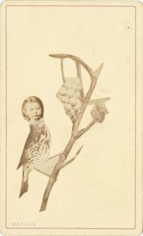 Marius, Paris Photomontage  Vers 1865 Tirage albuminé © collection privée