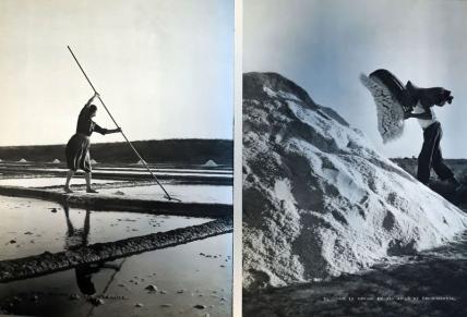 Jean Prasteau, Les Iles d’Ouest : Oléron, Aix, Ré, Madame, Yeu, Noirmoutier, Editions Arthaud, 1955 